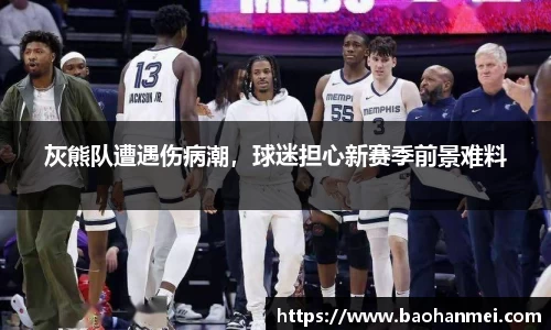 灰熊队遭遇伤病潮，球迷担心新赛季前景难料